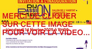 2025 / 01 VIDÉO ET 102 PHOTOS / JE VOUS PARLE D'ART AU SALON DIJON PASSION MAISON ET JE VOUS FAIS DECOUVRIR DES ARTISTES COUP DE COEUR...