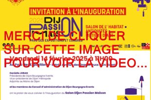 2025 / 01 VIDÉO ET 102 PHOTOS / JE VOUS PARLE D'ART AU SALON DIJON PASSION MAISON ET JE VOUS FAIS DECOUVRIR DES ARTISTES COUP DE COEUR...