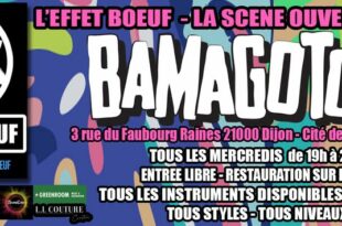 2025 / 01 VIDÉO ET 75 PHOTOS / LE CARNAVAL DE L'EFFET BOEUF AU BAMAGOTSHI MAIS PAS QUE AVEC AMELIE, YURI, REMY ET LES AUTRES...