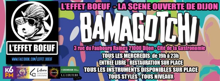 2025 / 01 VIDÉO ET 75 PHOTOS / LE CARNAVAL DE L'EFFET BOEUF AU BAMAGOTSHI MAIS PAS QUE AVEC AMELIE, YURI, REMY ET LES AUTRES...