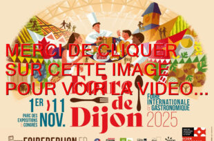 2025 / 01 VIDEO ET 74 PHOTOS / LE POINT PRESSE DE LA PRESENTATION DE LA FOIRE DE DIJON DU 01 AU 11 NOVEMBRE 2025...