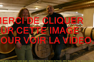 2026 / La vidéo exclusive de la dégustation de 5 vins en vente à la 65ème vente des vins des Hospices de Nuits au Château du Clos de Vougeot le dimanche 08 mars 2026…